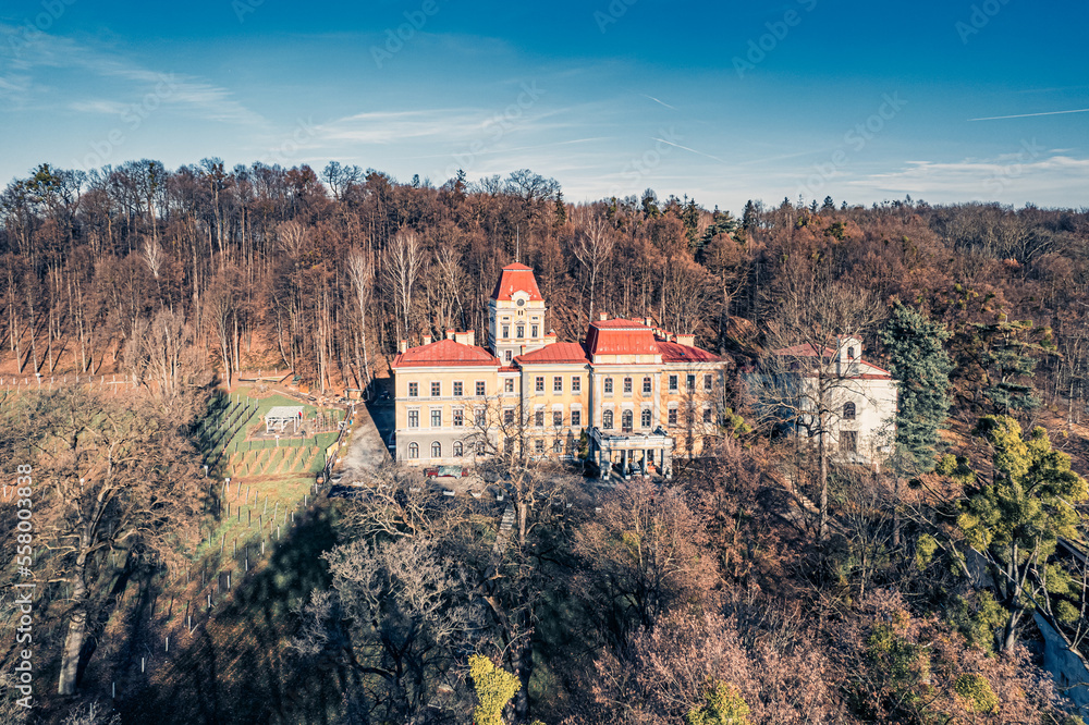 Park pałacowy w Kończycach Wielkich na Śląsku w Polsce zimą