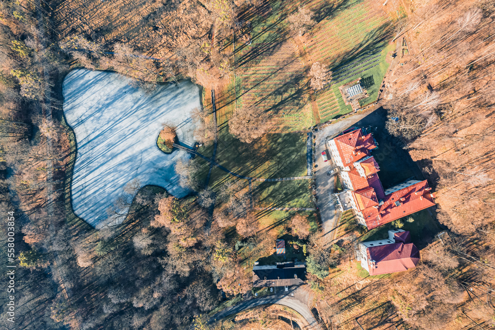 Park pałacowy w Kończycach Wielkich na Śląsku w Polsce zimą