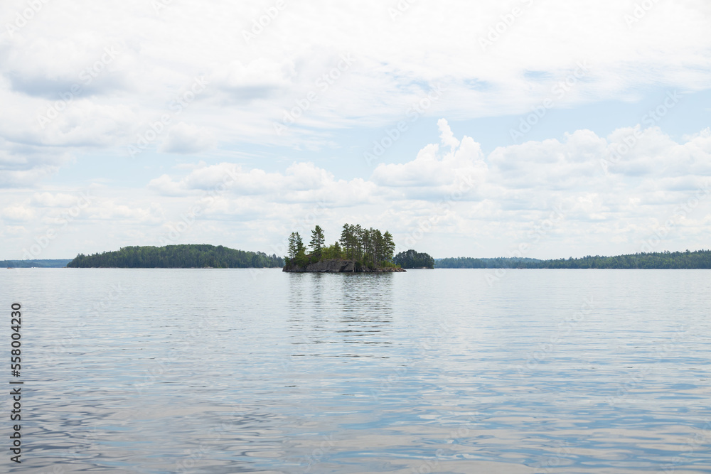 Wooded island in the lake