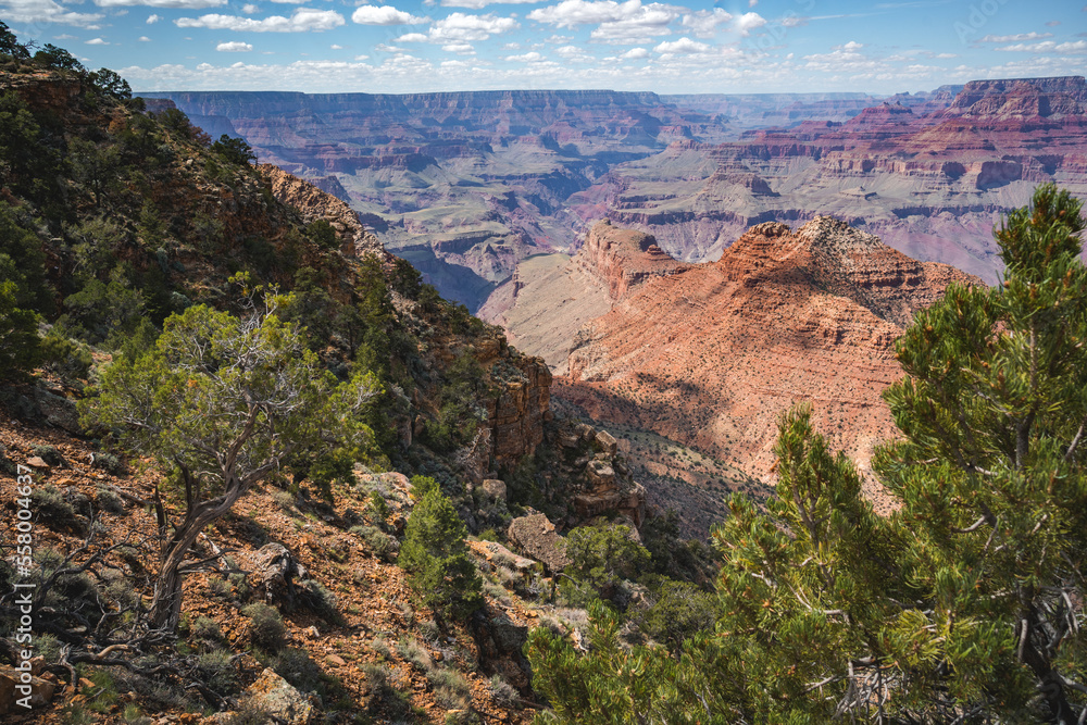 clear view into grand canyon national park