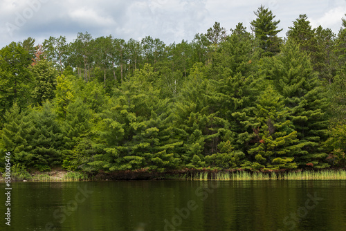 Lake  forest  cloudscape