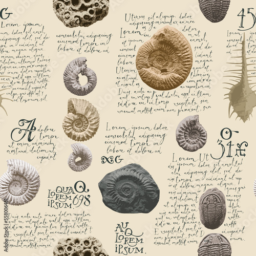 vector seamless pattern background with photo of ancient ammonite shells and trilobites and text loreum ipsum imitating paleontological catalog or encyclopedia. Suitable for wallpaper design