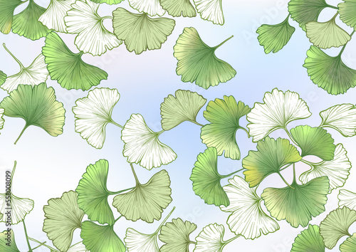 Ginkgo biloba leaves. Seamless pattern, background. Vector illustration. In botanical style