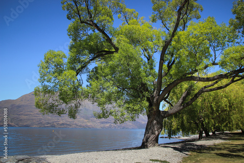 Qeenstown stunning views, beautiful scenery and landscape, mountains and lakes, South Island, New Zealand photo