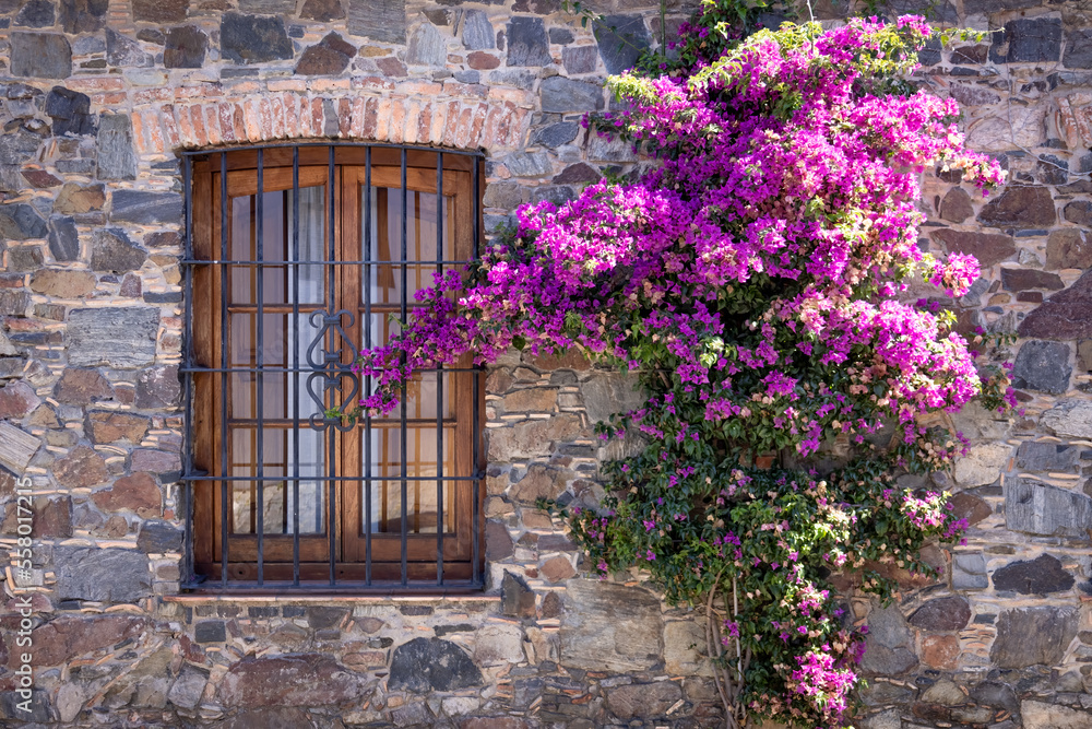 Uruguay, colonial streets of Colonia Del Sacramento in historic center of Barrio Historico. Uruguay, colonial streets of Colonia Del Sacramento in historic center of Barrio Historico.