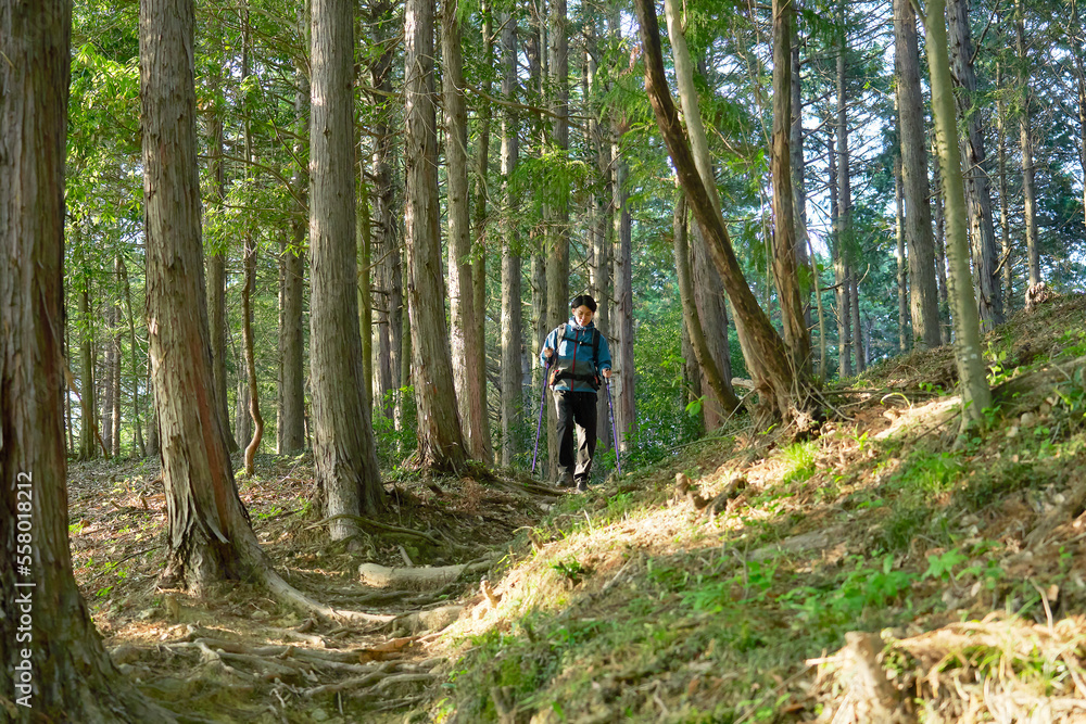 下山する男性登山者