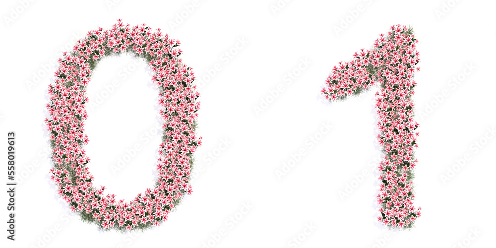 Concept or conceptual set of beautifull blooming lilies bouquets forming the fonts  0 and 1. 3d illustration metaphor for education, design and decoration, romance and love, nature, spring or summer.