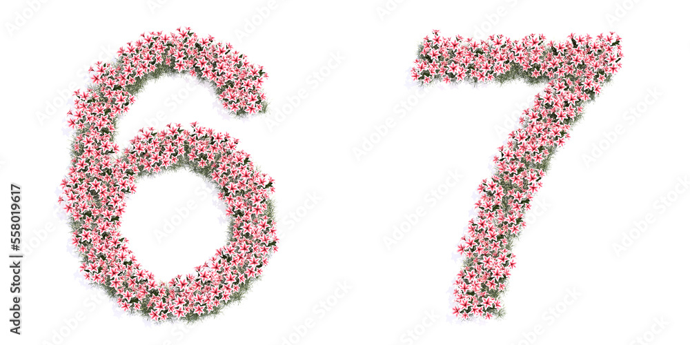 Concept or conceptual set of beautifull blooming lilies bouquets forming the fonts 6 and 7. 3d illustration metaphor for education, design and decoration, romance and love, nature, spring or summer. Concept or conceptual set of beautifull blooming lilies bouquets forming the fonts 6 and 7. 3d illustration metaphor for education, design and decoration, romance and love, nature, spring or summer.
