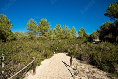 Punta de Amer Nature Reserve located on the island of Palma de Mallorca - Spain photo