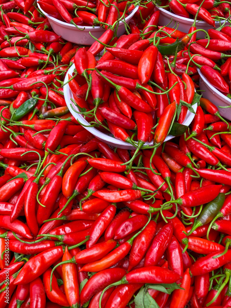 Capsicum baccatum is the scientific name of a pepper known as pepper finger-of-girl or pepper-aji, originally from Peru. Capsicum baccatum is the scientific name of a pepper known as pepper finger-of-girl or pepper-aji, originally from Peru.