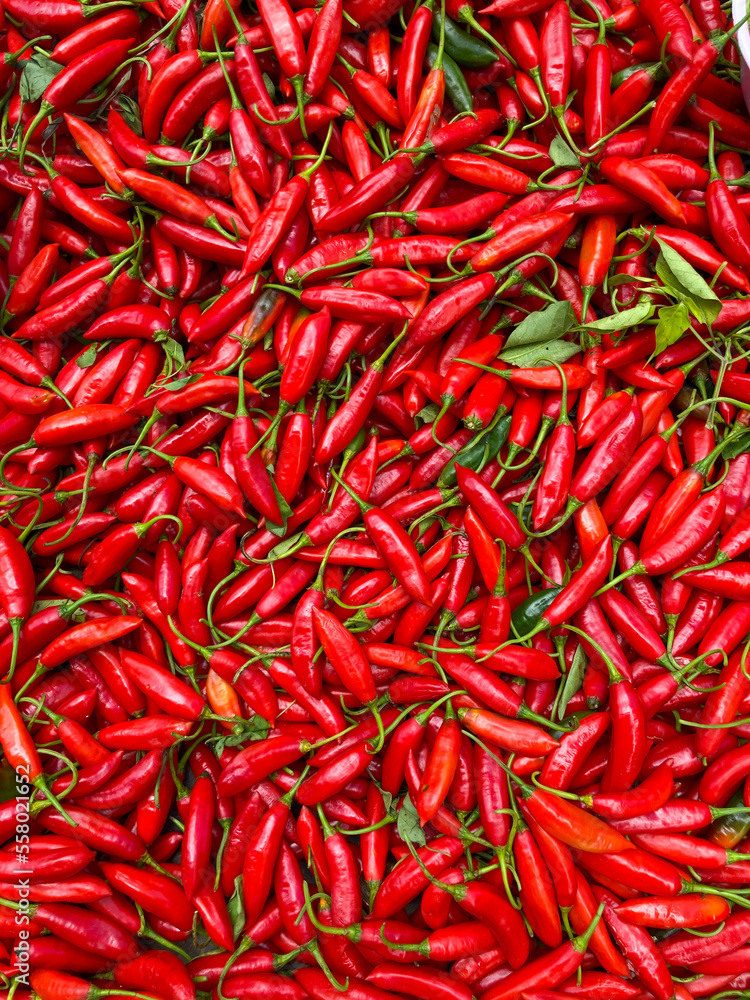 Capsicum baccatum is the scientific name of a pepper known as pepper finger-of-girl or pepper-aji, originally from Peru. Capsicum baccatum is the scientific name of a pepper known as pepper finger-of-girl or pepper-aji, originally from Peru.
