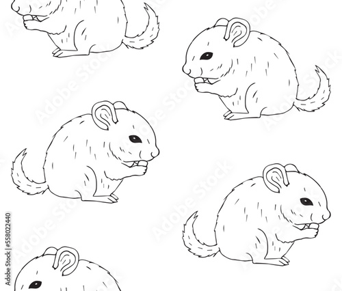 Vector seamless pattern of hand drawn doodle sketch chinchilla isolated on white background