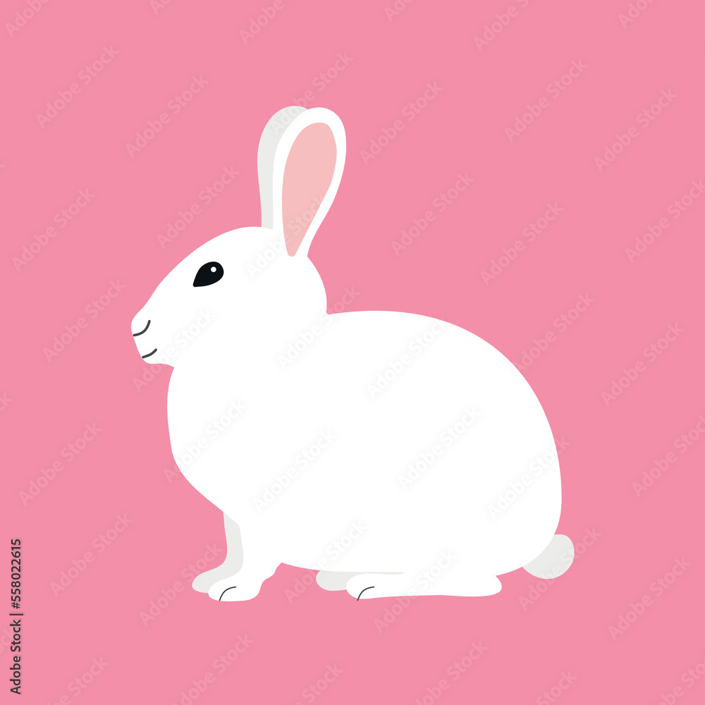 Vector hand drawn flat bunny rabbit isolated on pink background Vector hand drawn flat bunny rabbit isolated on pink background