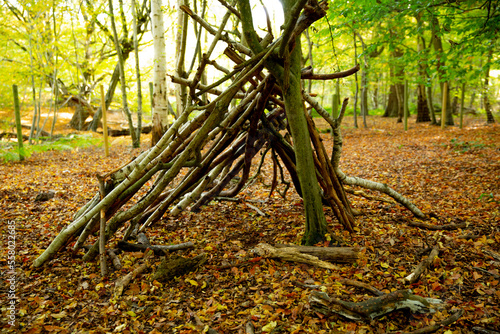 natural tent