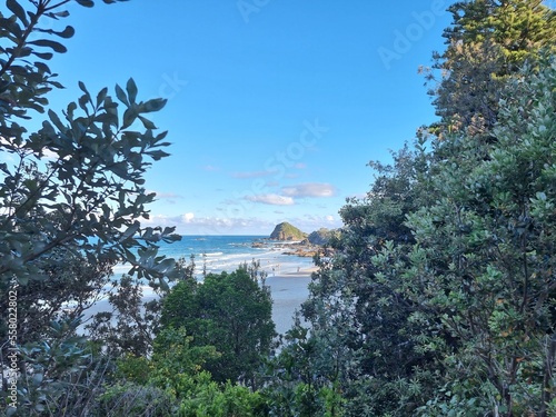 Flynns Beach looking through trees to the sand. Port Macquarie New South Wales, Australia