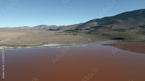 Aerial Drone Above Laguna Colorada Red Salt Lake Bolivian Altiplano Wetland, Cinematic Scenic Andean Natural Reserve photo