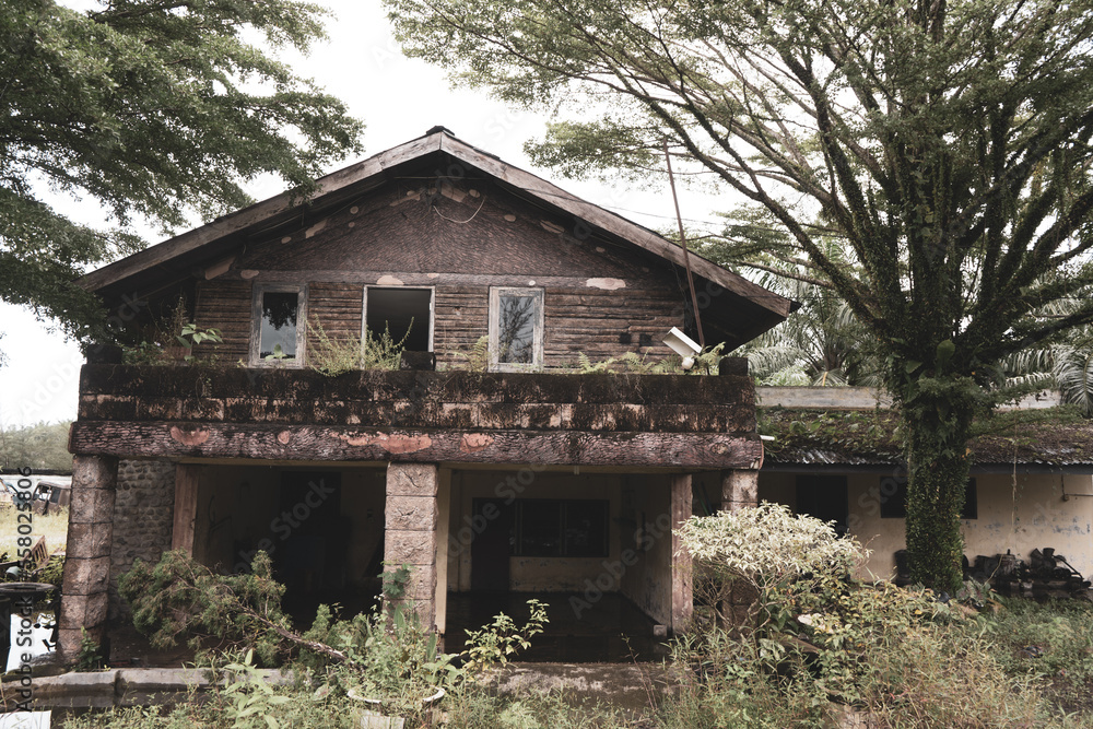 Front view of an abandoned old style wooden house with some plants growing around it