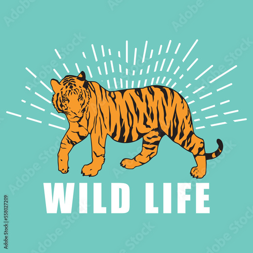 Vector Illustration that says Wild life and a shining tiger
