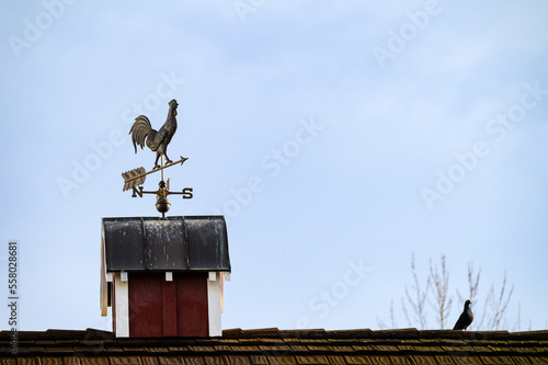 Copper rooster weathervane on a red barn with a pigeon for company, against a blue sky
 photo