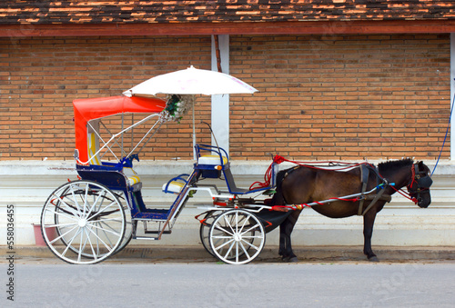 Lampang Horse Carriage