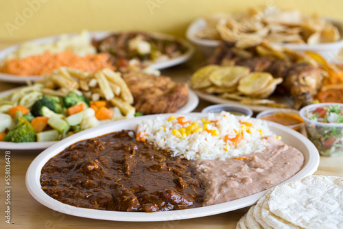 Obraz na plátně Pollo en mole