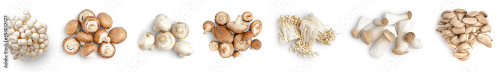 Group of fresh mushrooms on white background, top view