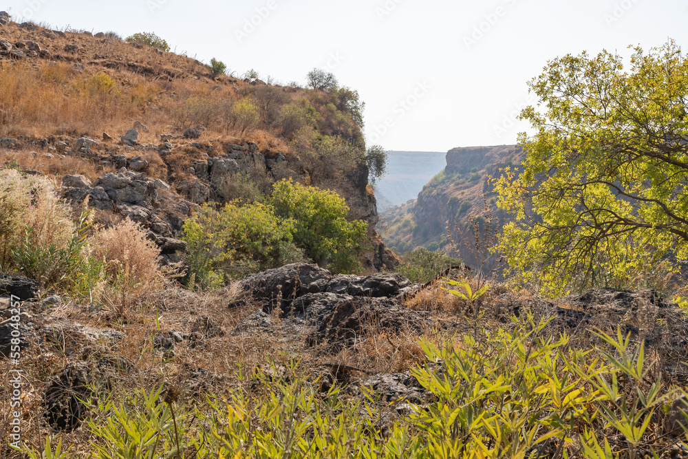 A mountain  gorge through which the Gamla stream flows on the Dolmen Path in Gamla Nature Reserve, Golan Heights, northern Israel