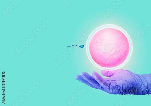 Pregnancy, fertilization of the ovum. natural insemination. Natural fertilization. Active sperm swim to the egg. the hand holds an egg next to a sperm. hand isolated on emerald green background. photo