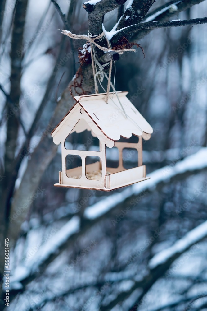 birdhouse weighs in the forest birdhouse weighs in the forest