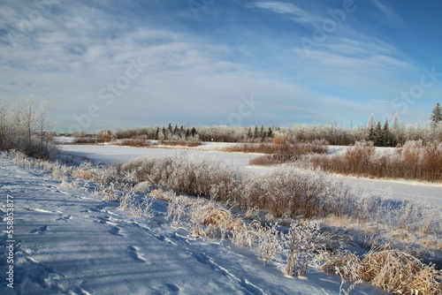 January In The Wetlands, Pylypow Wetlands, Edmonton, Alberta