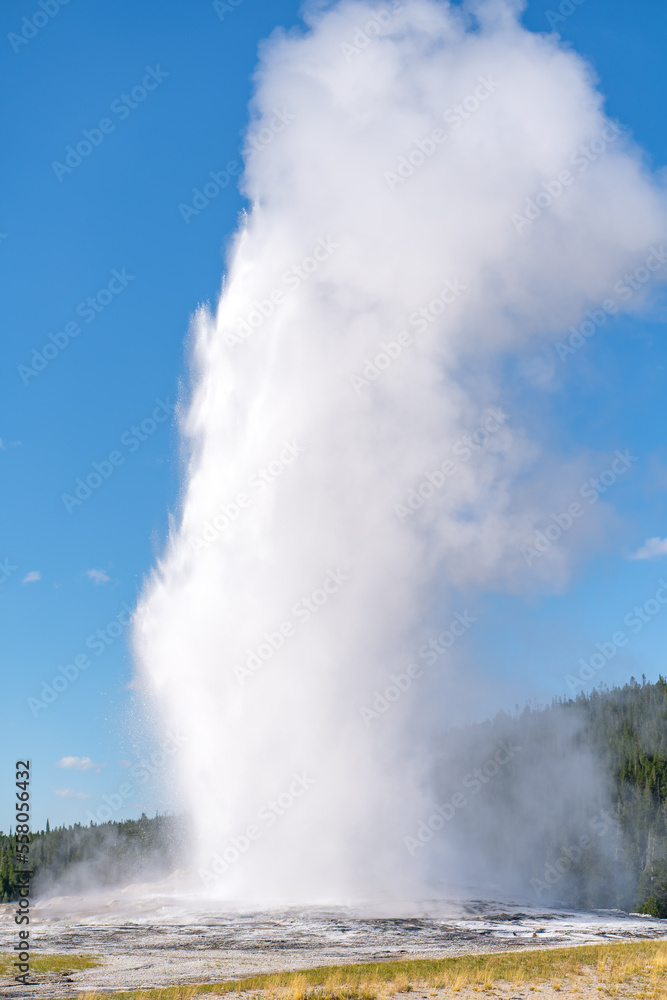 Old Faithful geyser erupting, Yellowstone National Park.