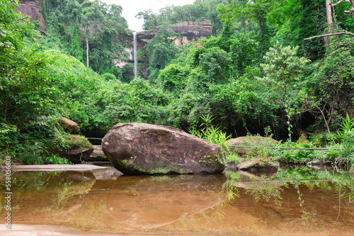 Naga cave, Amazing of Naga scales rock stone mountain in Phu Langka National Park, Bueng Kan of Thailand 2022. 