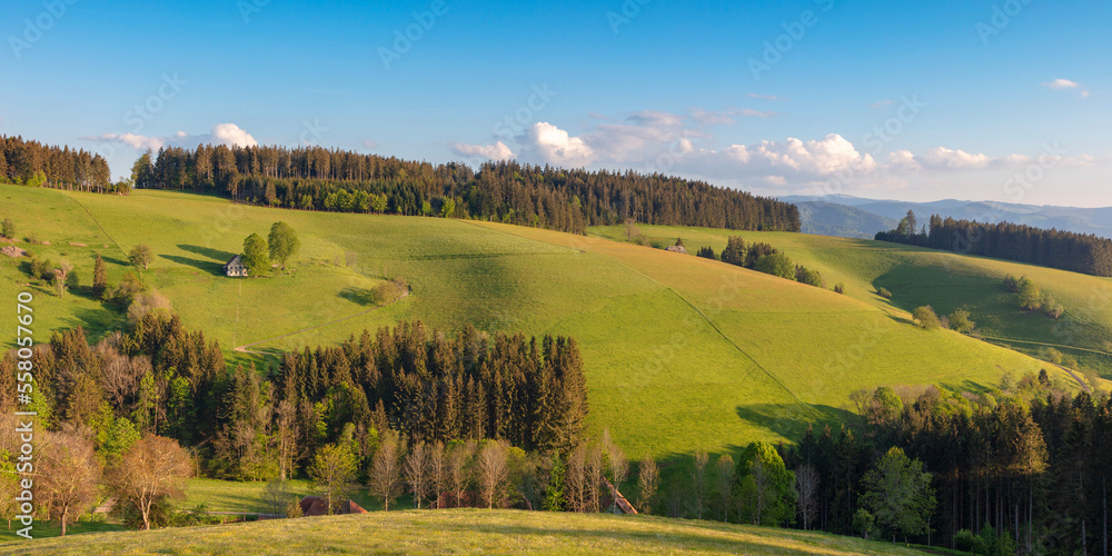 Naklejka premium Landscape near St.Märgen in Germany