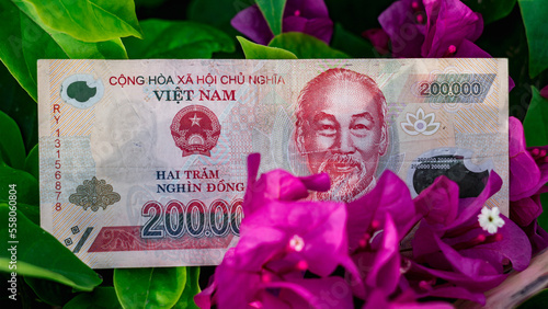 Vietnamese money currency 200 000 and 10 000 dong banknote flower symbol of income grows prosperous
