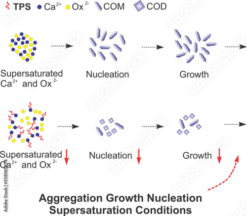 Aggregation Growth Nucleation 
Supersaturation Conditions in Chemical Science Reaction Eps Vector