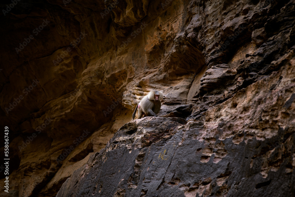 cave in the mountains 