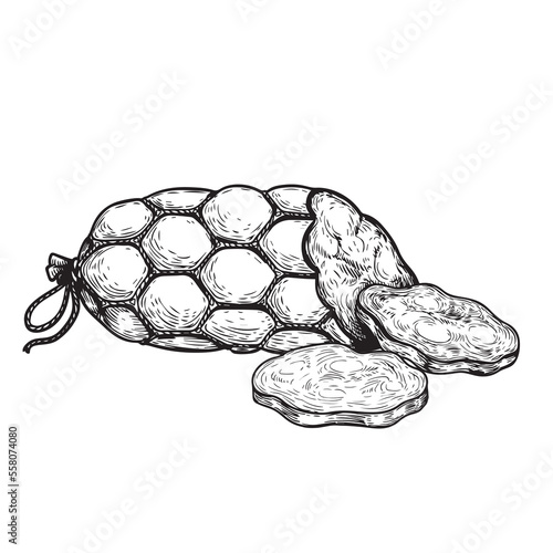 Sliced sausage in vintage style. Hand drawn sketch style butchery product. Best for package and market advertising design. Vector illustrations isolated on white background.