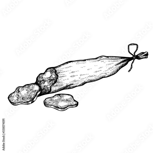 Italian dry sliced sausage in vintage style. Hand drawn sketch style butchery product. Best for package and market advertising design. Vector illustrations isolated on white background.