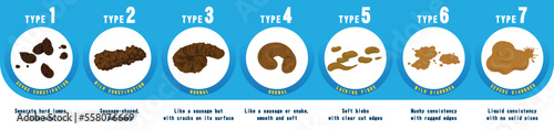 Bristol stool chart with faesces type classification. Vector illustration different type excrement- from constipation to diarrhea health indicator.