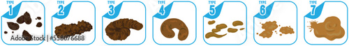 Bristol stool chart with faesces type classification. Vector illustration different type excrement- from constipation to diarrhea health indicator.