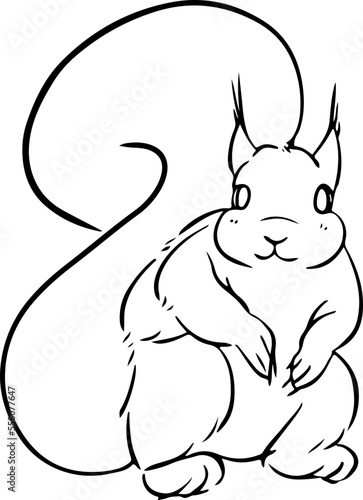 sketch squirrel