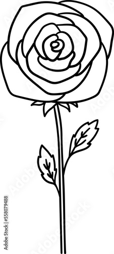 Valentine Rose Outline Hand Drawn Illustration