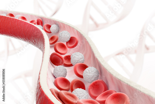 Tableau sur toile Blood vessel with flowing Red blood and White blood cells, 3D illustration
