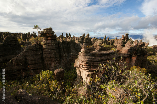 Sandstone rock formations with black pillars and columns on Amuri Tepui, Venezuela