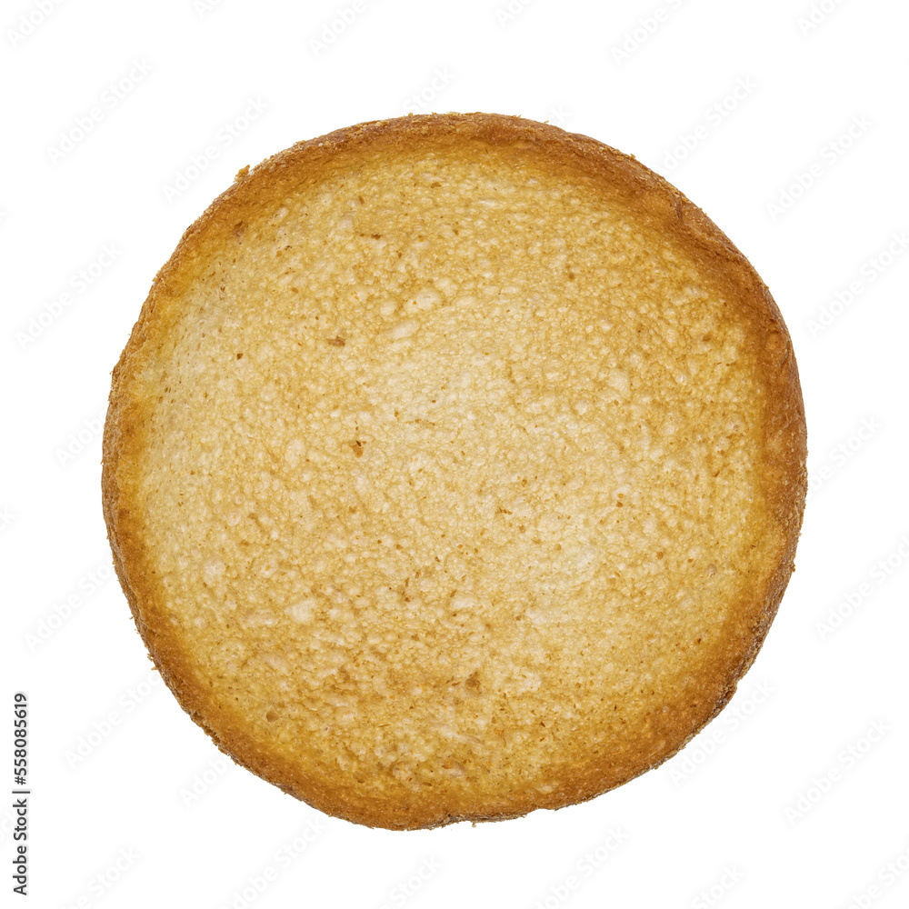 Top view of golden toasted round rusk toast aka beschuit. Isolated cutout on transparent background. Top view of golden toasted round rusk toast aka beschuit. Isolated cutout on transparent background.