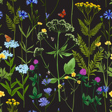 Wild herbs. Wildflowers in summer. Cornflowers, forget-me-nots, yellow buttercups, ferns, butterflies, bees