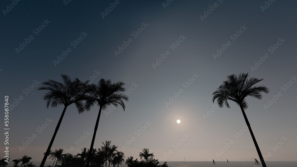 Obraz premium palm trees at night
