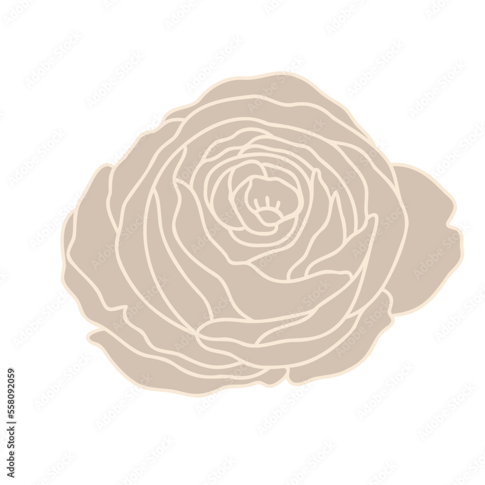 Flower Flat Simple rose Flower Flat Simple rose
