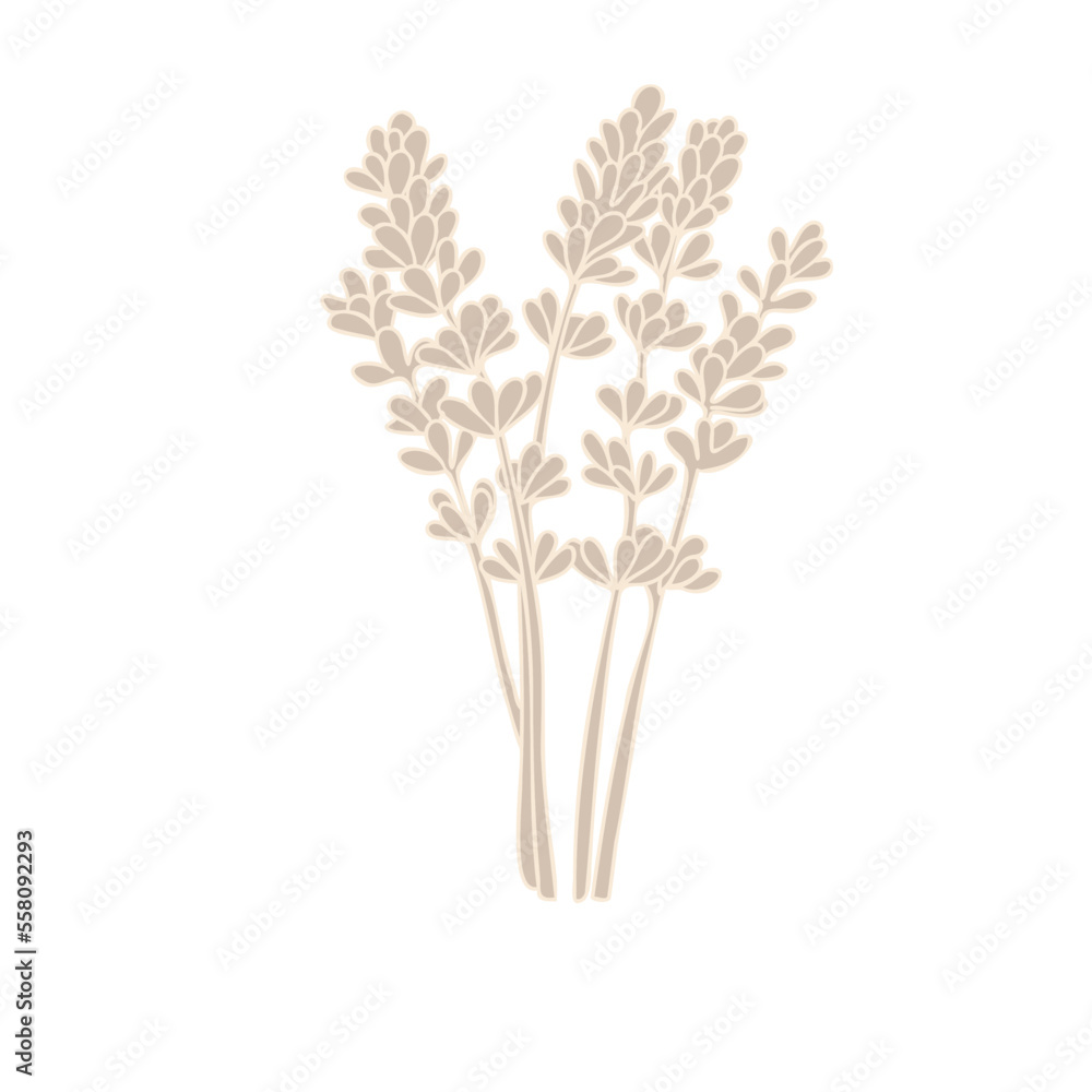 Fototapeta premium Flower Flat Lavender flower