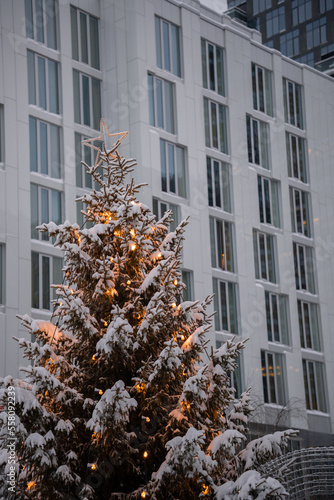 christmas tree in the snow
